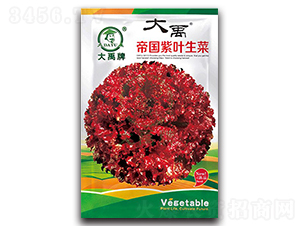 �ۇ�(gu��)���~���˷N��-�����N�I(y��)