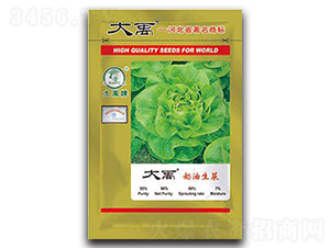 ɢ�~�������˷N��-�����N�I(y��)