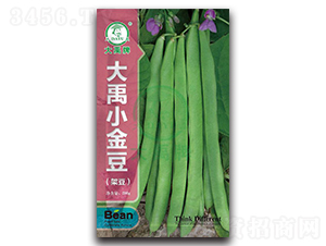 ����С��-�ܶ��N��-�����N�I(y��)