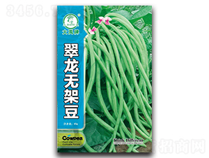 �����o�ܶ�-�ܶ��N��-�����N�I(y��)