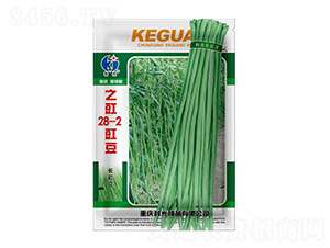 ����28-2-֮��-�ƹ�N��