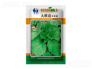 ����P(p��n)������-�ƹ�N��