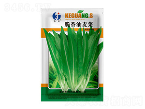 ����������-�ƹ�N��