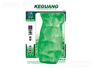 ����A�~�n�S-�ƹ�N��