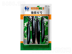 ����5̖(h��o)-�ƹ�N��