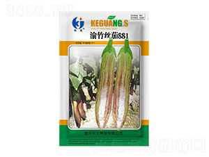 ����z��881-�ƹ�N��