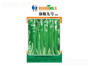 �彷9̖(h��o)-�ƹ�N��