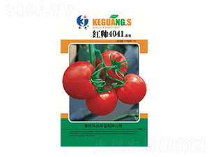 �t��4041-�ƹ�N��