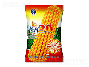 �L(zh��ng)��20-�ƹ�N��