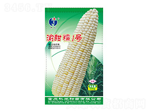 ����Ŵ1̖-�ƹ�N��