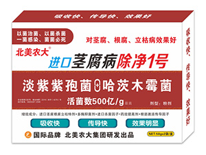 �M(j��n)���o��������1̖-�����r(n��ng)��