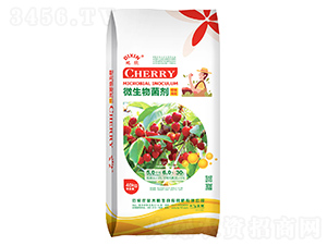 ������΢�������-����-��̫�