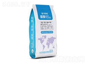 ���10-10-50+TE-�A��嫱�