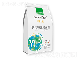 �r(n��ng)��΢�������-���l(w��i)-ס�̷���