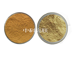 �~����ø1̖+2̖ˮ��ø-��˹�r(n��ng)