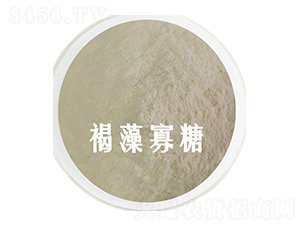 �������-��˹�r(n��ng)