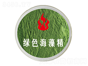 �Gɫ���徫-��˹�r(n��ng)