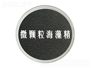 ΢�w�����徫-��˹�r(n��ng)