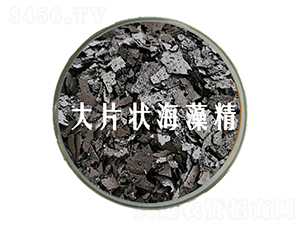 ��Ƭ��徫-��˹�r(n��ng)