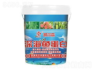 ��~����-�P��ɭ-����Ƽ�