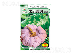 �����ϷN��-̫������-̫���N�I(y��)