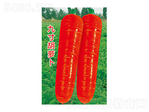 �}���N��-�Ŵ���}��-̫���N�I(y��)