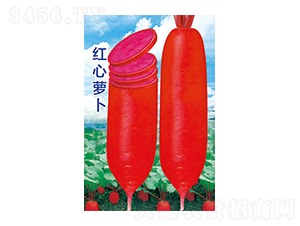 �}���N��-�t���}��-̫���N�I(y��)