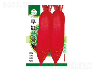 �}���N��-��tһ̖-̫���N�I(y��)