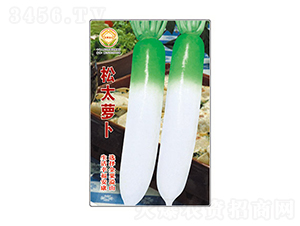 �}���N��-��̫�}��-̫���N�I(y��)