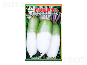 �}���N��-���������}��-̫���N�I(y��)