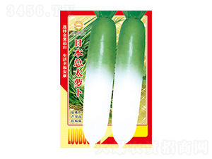 �}���N��-�ձ���̫�}��-̫���N�I(y��)