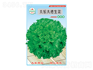 ���˷N��-̫����������-̫���N�I(y��)