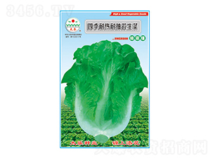 ���˷N��-�ļ��͟��ͳ�̦����-̫���N�I(y��)