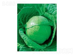 �и�ʮһ���{(l��n)�N��-̫��(l��)�N�I(y��)