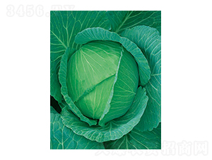 ���Sһ̖(h��o)���{(l��n)-̫��(l��)�N�I(y��)