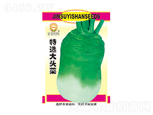 ���x���^��-̫��(l��)�N�I(y��)