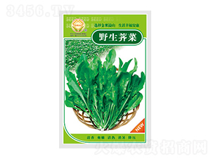 �j�˷N��-Ұ���j��-̫��(l��)�N�I(y��)