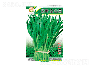 ���Ĳ˷N��-���~���Ĳ�-̫��(l��)�N�I(y��)