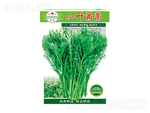 ����N��-С�~����-̫��(l��)�N�I(y��)