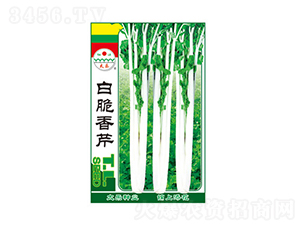 �״�����-̫���N�I(y��)