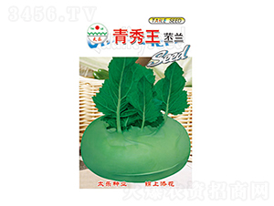 ���m�N��-���������m-̫���N�I(y��)