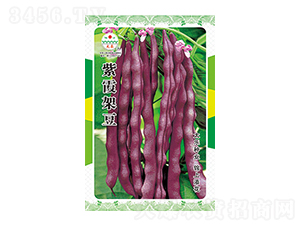 �����N��-��ϼ�ܶ�-̫���N�I(y��)