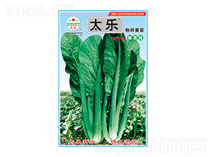 ��˷N��-�ۗU���-̫��(l��)�N�I(y��)