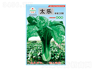 ��˷N��-��(bi��o)��(zh��n)������-̫��(l��)�N�I(y��)