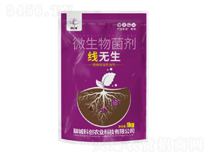 ���o��΢�������-��(chu��ng)�|�z-�ĳǿƄ�(chu��ng)