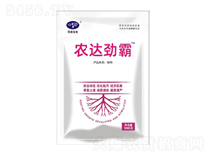 �r(n��ng)�_(d��)�Ű�-�r(n��ng)�_(d��)����