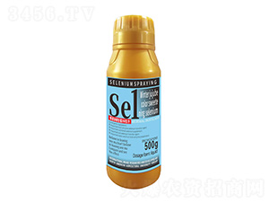 500�˶����D(zhu��n)ɫ�����������1̖(h��o)-�����r(n��ng)��