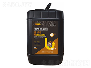 ʩ����΢�������-ʩ�_��