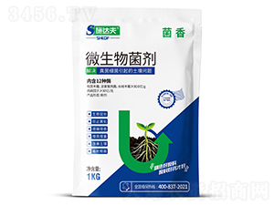 ����΢�������-ʩ�_��