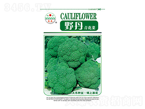 ���m���N��-Ұ��-̫���N�I(y��)